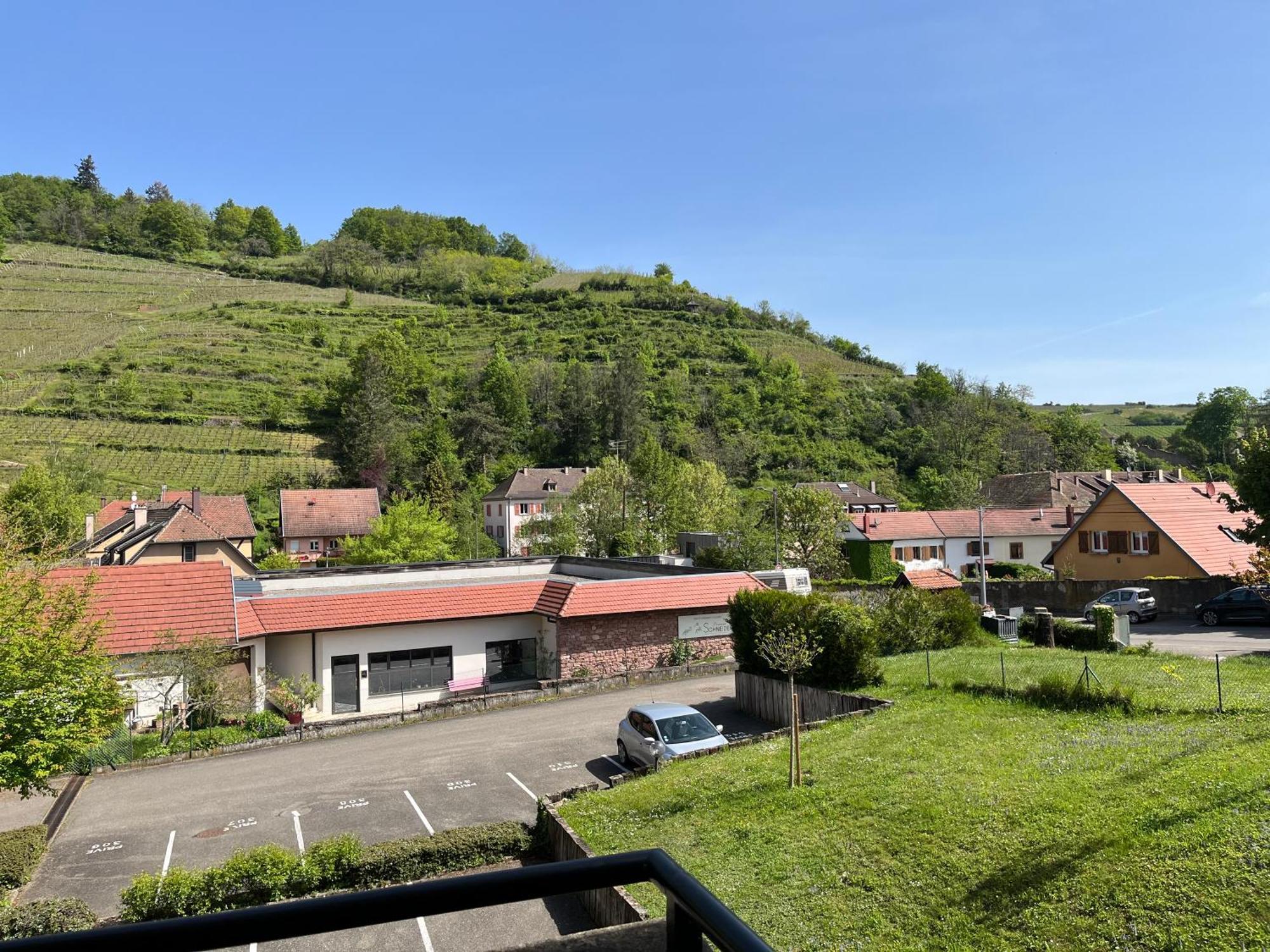 Appartement L'Aiglon à Ribeauvillé Extérieur photo